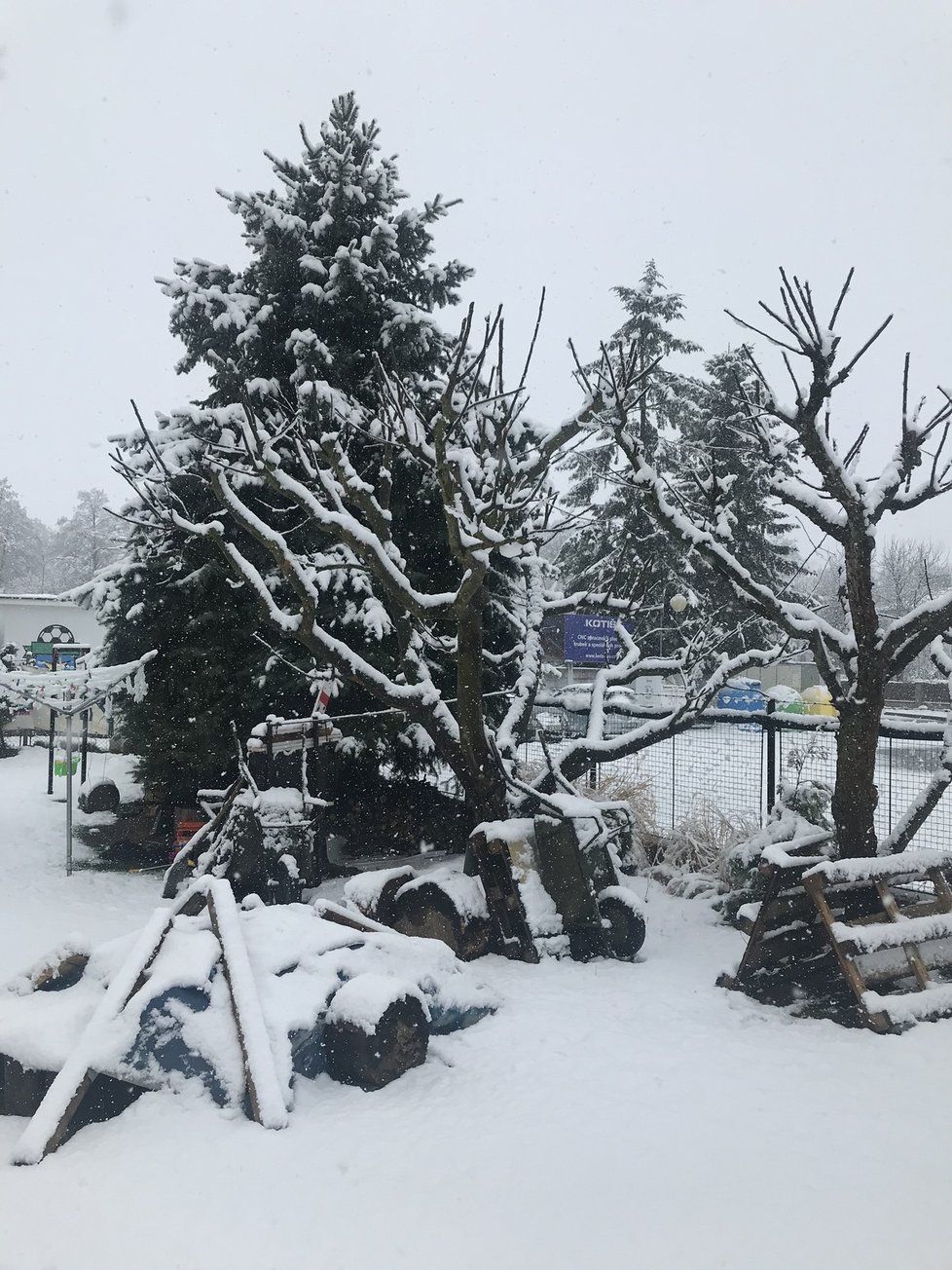 I přes oficiální příchod jara se vrátil sníh do Česka, ve kterém trvá stav nouze kvůli koronaviru (21. 3. 2020)