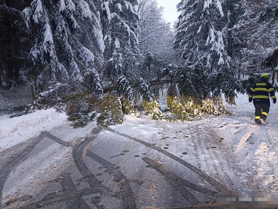 Hasiči ve Středočeském kraji pomáhali ve 278 případech spojených se sněhem.