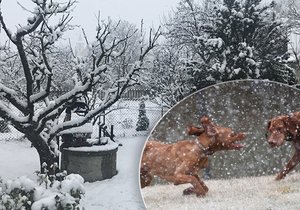 Druhá vlna studeného proudění srazí teploty i pod -10 °C a přinese sněžení