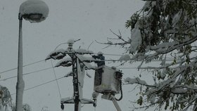 Sníh lámal i sloupy elektrického vední