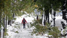 Vrbno pod Pradědem(ČR) - Sněhová kalamita postihla 15. října řidiče i chodce ve Vrbně pod Pradědem.