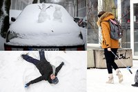 Evropu zasypal sníh: „Katastrofa“ na německých dálnicích, sněhová bouře v Nizozemsku
