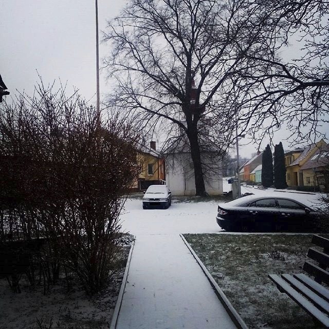 1. ledna 2016: Česko zasypal sníh.
