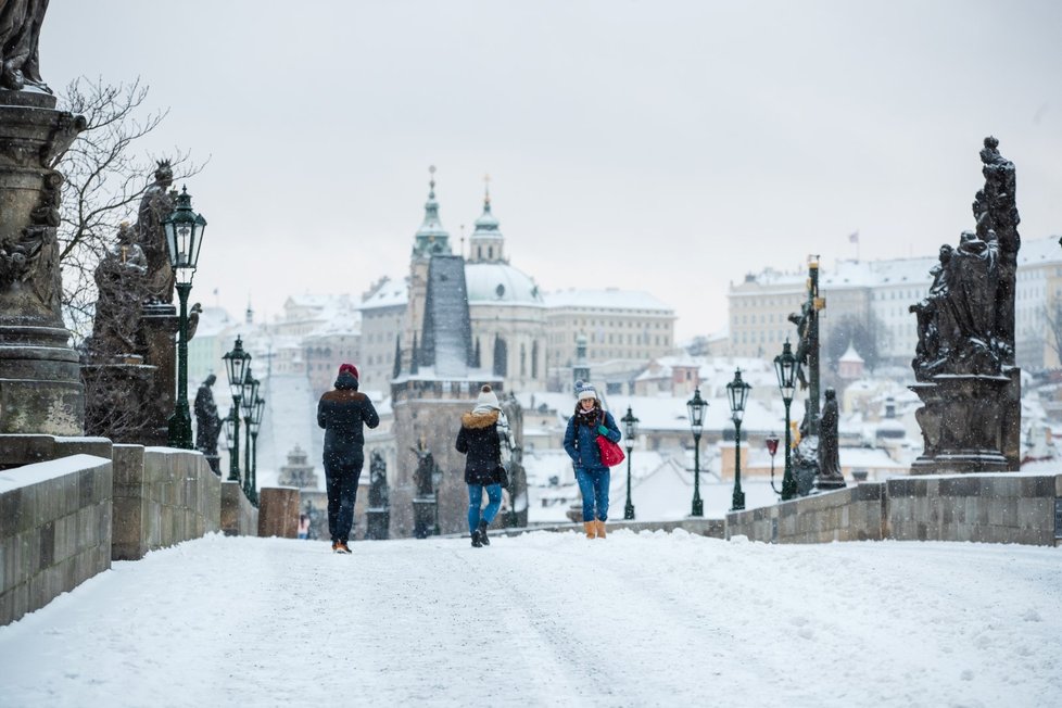 Sníh v Praze. (14.1.2021)