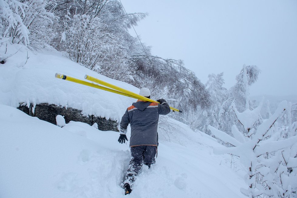 Technici společnosti ČEZ odstraňovali poruchu na vysokém napětí třeba v Desné na Jablonecku. Způsobily ji stromy a větve, které popadaly pod vahou čerstvého sněhu. (9.1.2019)