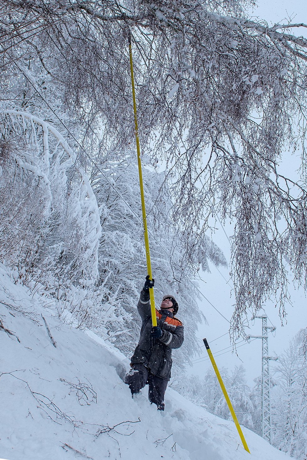 Technici společnosti ČEZ odstraňovali poruchu na vysokém napětí třeba v Desné na Jablonecku. Způsobily ji stromy a větve, které popadaly pod vahou čerstvého sněhu. (9.1.2019)