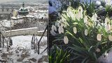 Jaro se dere na povrch: Víkendový sníh vystřídá slunečno a 15 °C  