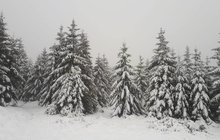 Šumavu zasypal sníh: Jaké nás čeká POČASÍ? Čas vytáhnout kabáty?!