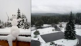 Do Česka dorazil první sníh.