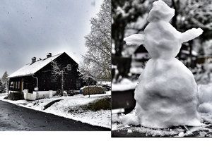 Česko s bílou peřinou: Na Šumavě napadlo pět centimetrů sněhu.