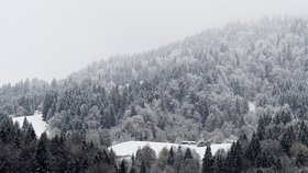 Sněžilo také v sousedním Německu, (13. 11. 2019).