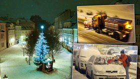 Sníh zahalil Česko do bílého hávu, a to i v Praze. Na řadě míst pak způsobil komplikace v dopravě