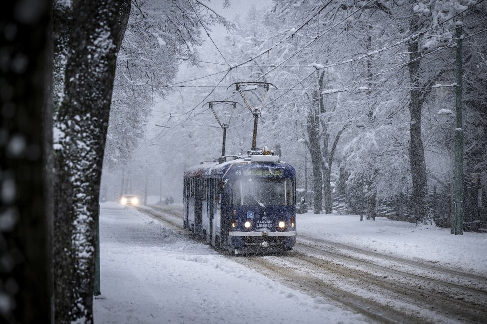 Počasí před Štědrým dnem: V Libereci nasněžilo (23.12.2023)