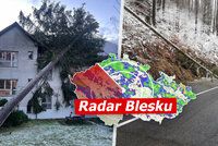 Sníh a vichr bičují Česko: Přibývají nehody, v Jeseníku spadl strom na školu. Sledujte radar Blesku