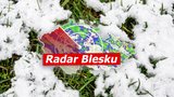 Na Česko udeří mráz: Bude -5 °C, na horách nasněží až 45 cm! Sledujte radar Blesku. A výstraha meteorologů