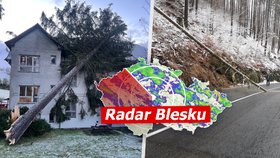 V Česku působil sníh a vichr problémy.