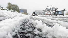 Sněžit začne už ve čtvrtek, nížiny pocukruje sníh i příští týden. (archivní foto)