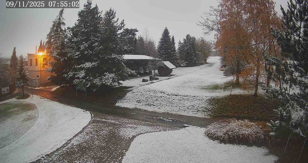 Brdy zasypal sníh, místy napadlo až pět centimetrů. (9. listopadu 2025)