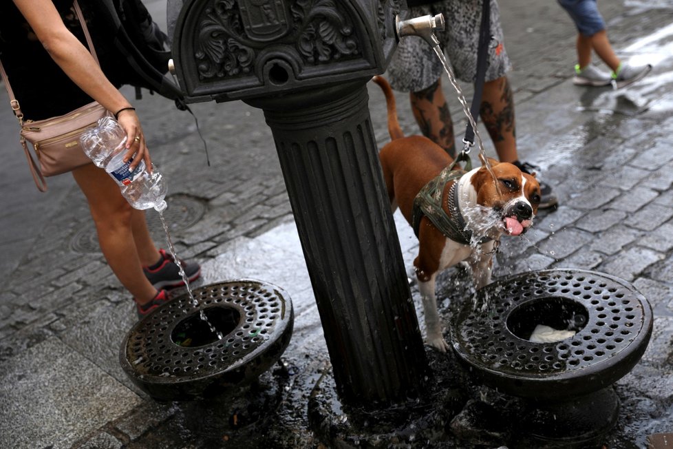 S vlnou veder se potýkají i ve Španělsku, o víkendu to může být téměř 50 °C.