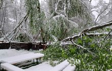 To je tedy paseka! Víkendová sněhová nadílka totiž nadělala velké škody v Bečovské botanické zahradě na Karlovarsku. Poničené tu mají dokonce i stoleté stromy.