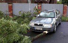 Česko ochladily bouřky: O víkendu zima, příští týden 30 °C!