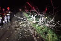 Koridor Praha-Brno má problém: Na Blanensku popadaly stromy na koleje