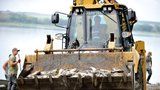 Horší, než se čekalo: V rybníku Nesyt uhynulo přes 100 tun ryb. Škoda jde do milionů