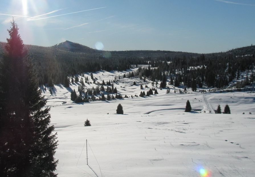 Zima na Šumavě: Březník