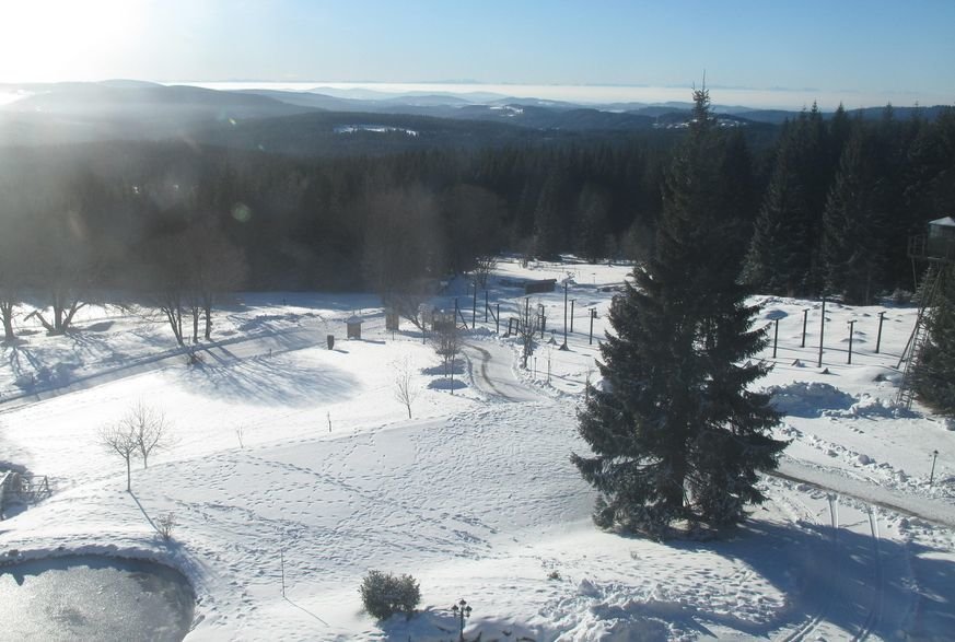 Zima na Šumavě: Bučina