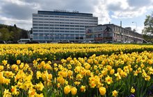 PŘEDPOVĚĎ POČASÍ: NA LEDOVÉ MUŽE AŽ 30 °C