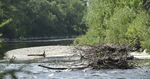 Sucho, déšť, pyl a teplotní rekordy – takové je nyní počasí v Česku.