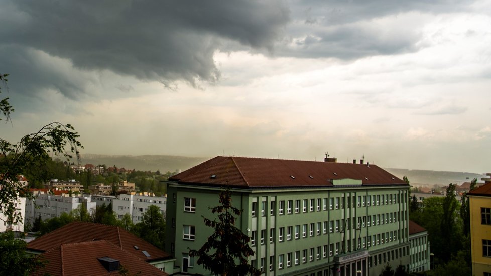 Sucho, déšť, pyl a teplotní rekordy - takové je nyní počasí v Česku