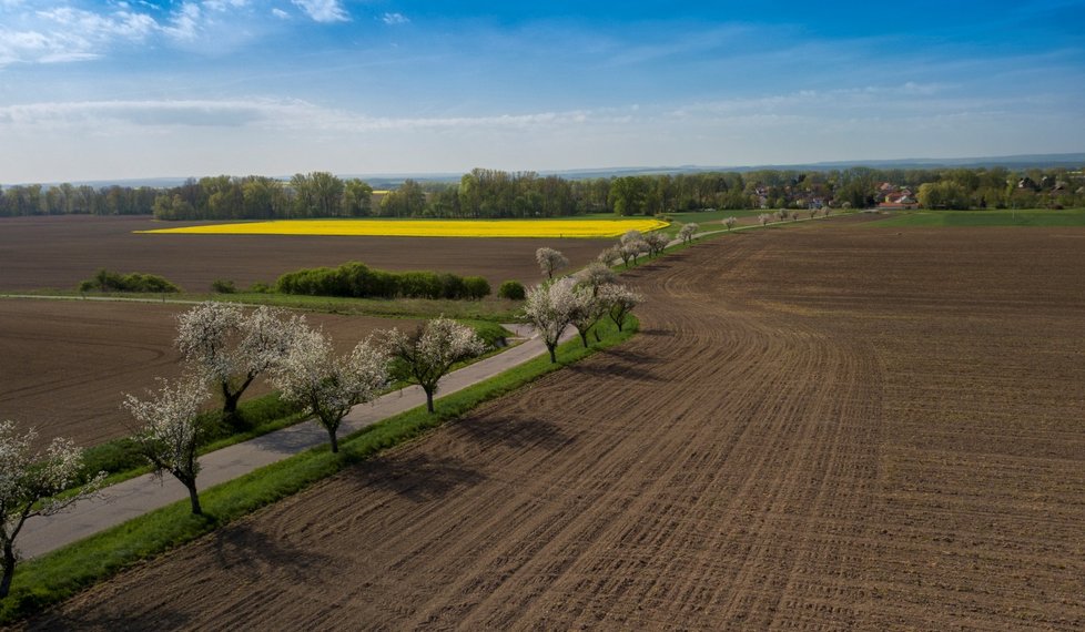 Jarní počasí v Česku. „Celé období od 7. května do 3. června 2018 bude teplotně nadprůměrné až průměrné,“ tvrdí meteorologové.