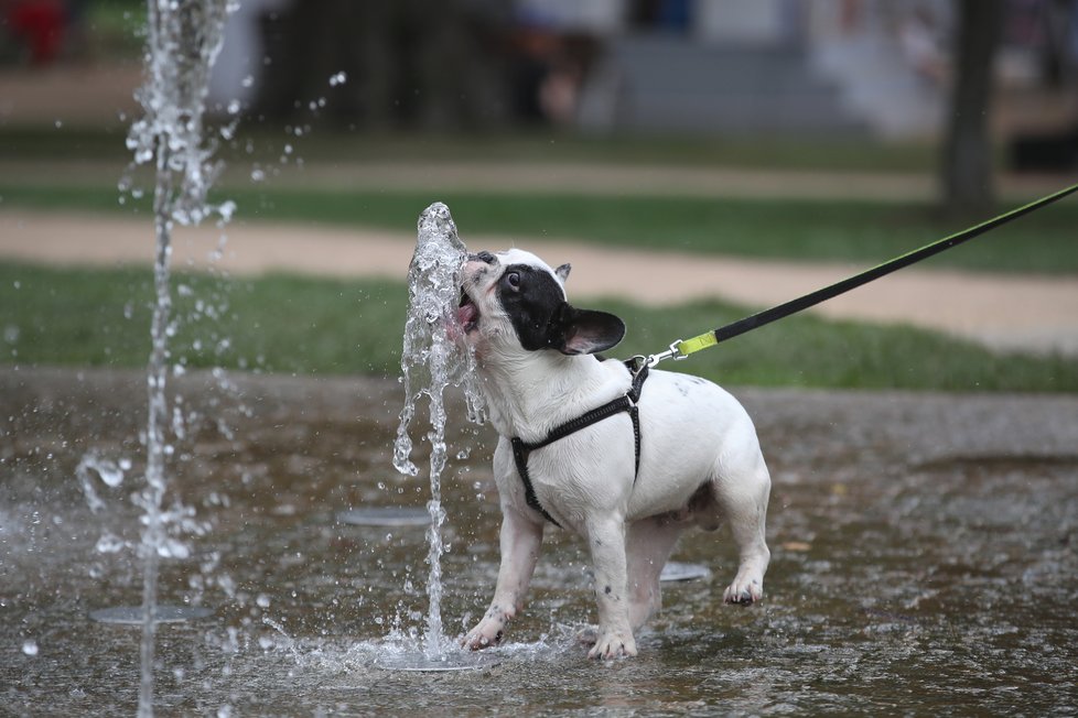 Poslední letní tropický den v Praze: Tropy zahnaly bouřky (1. 9. 2019)