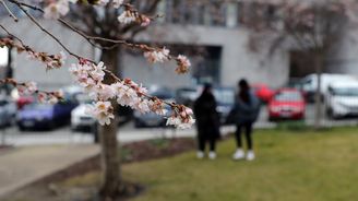 Únor začal rekordně teplým počasím, na jihu Moravy bylo přes 17 stupňů