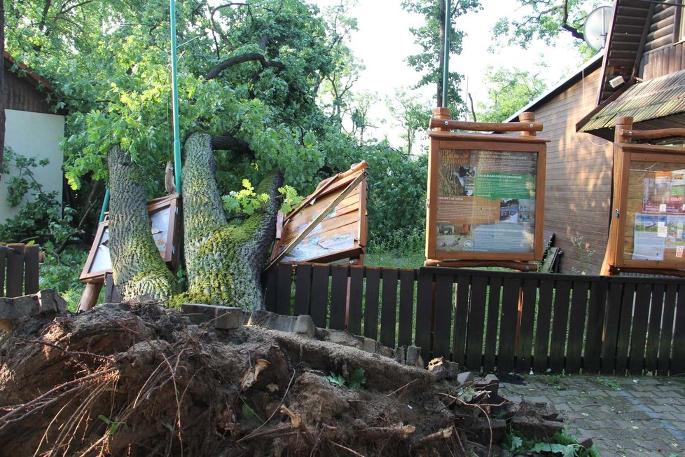 Tornádo poničili i značnou část zoo v Hodoníně včetně útulku.