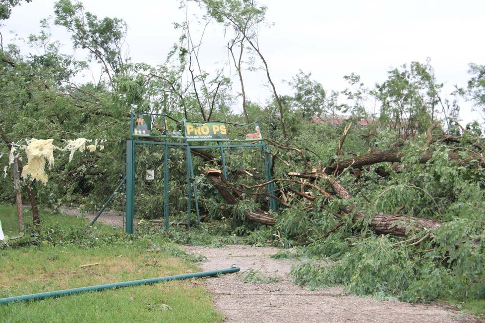 Tornádo poničilo i značnou část zoo v Hodoníně včetně útulku.