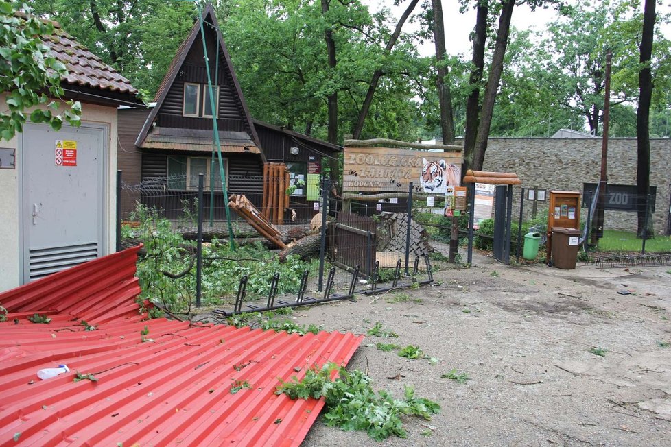 Tornádo poničili i značnou část zoo v Hodoníně včetně útulku.