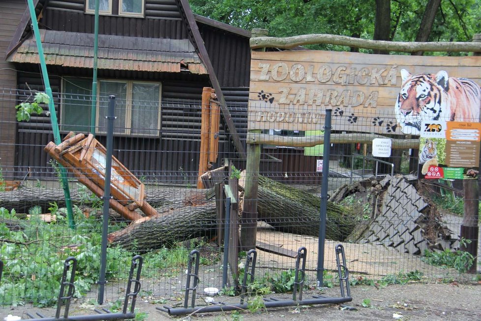 Tornádo poničilo i značnou část zoo v Hodoníně včetně útulku.