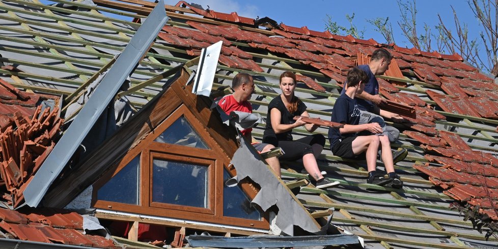 Hrušky tři dny po katastrofickém tornádu.