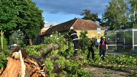 Potvrzeno! Tornádo v Lanžhotě! Poničena je celá čtvrť! Domy bez střech, vyvrácené stromy