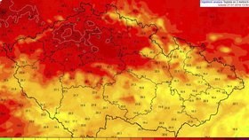 Vlny veder sužovali Česko během července a bude hůř, varují vědci