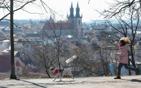Teplé počasí v Praze (29.2.2024)