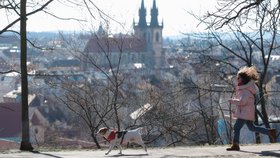 Počasí v Praze počátkem března: Sluneční paprsky i mírné ochlazení!