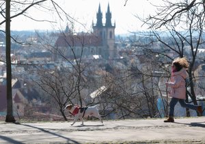 Teplé únorové počasí v Praze (29.2.2024)