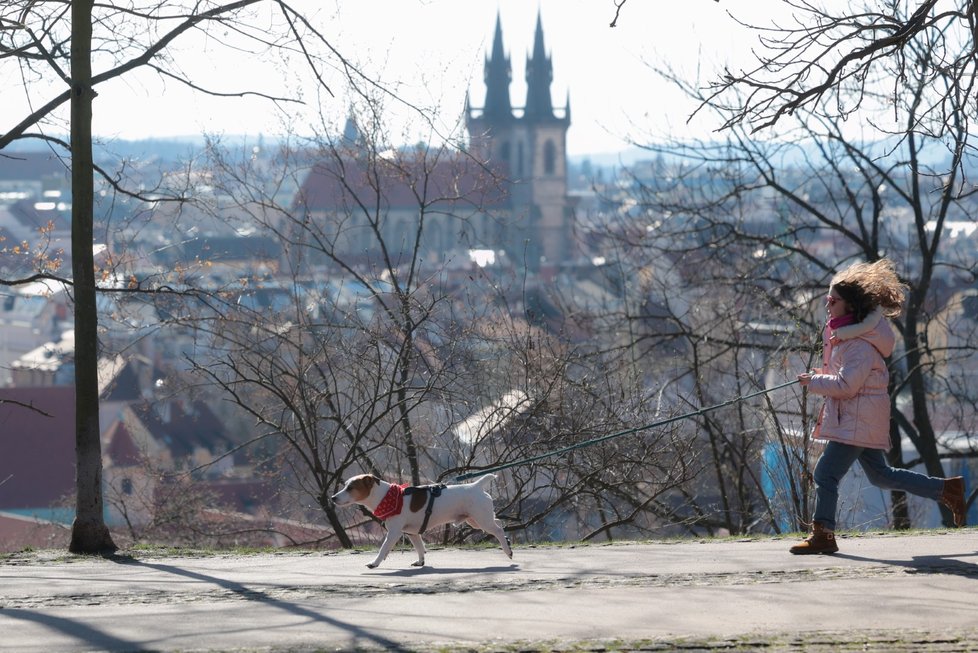 Teplé únorové počasí v Praze (29.2.2024)