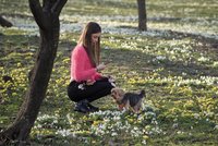 Konec pracovního týdne proprší. Víkend ale slibuje teploty kolem 18 °C