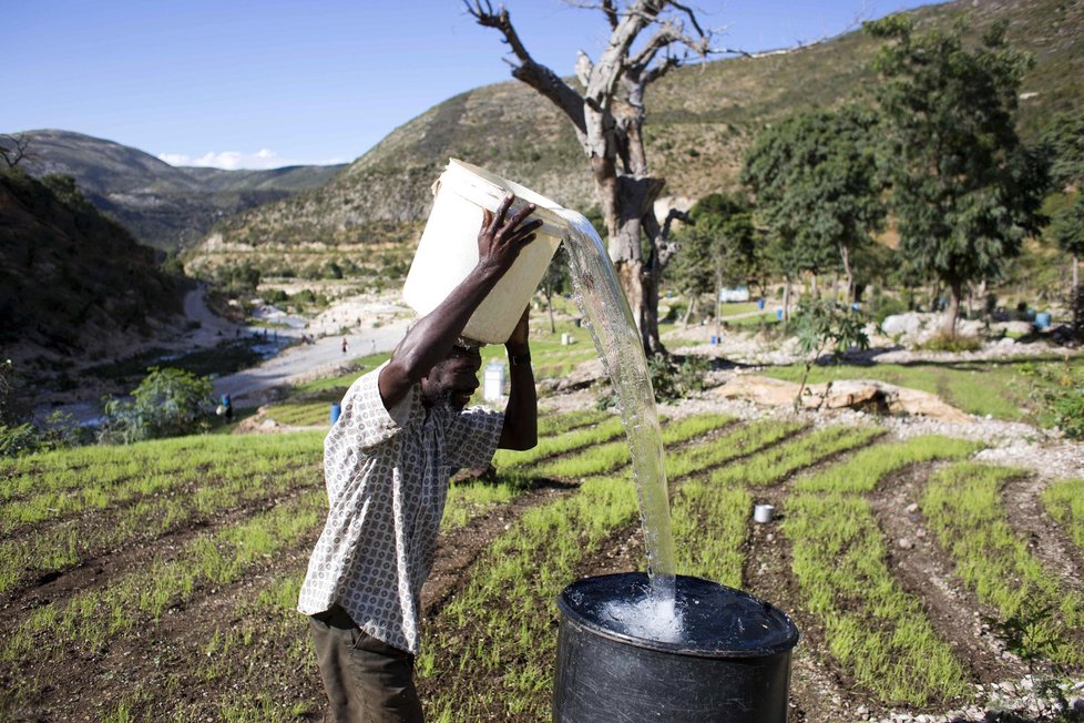 Únorové počasí v některých zemích světa: Haiti