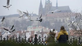 Nastávající týden už by měl v Praze být spíše na svetr. Pořádně se totiž ochladí. (ilustrační foto)