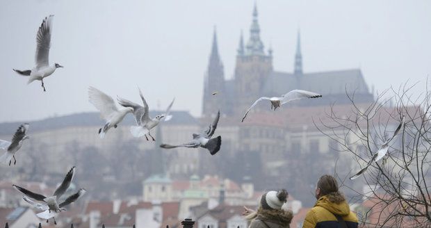 Ochlazování bude pokračovat. Teploty klesnou k sedmi stupňům, v noci bude i kolem nuly